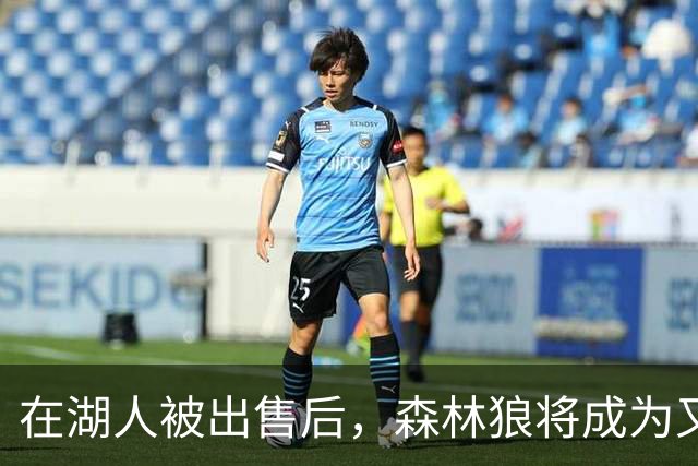 在湖人被出售后，森林狼将成为又一支被出售的球队？